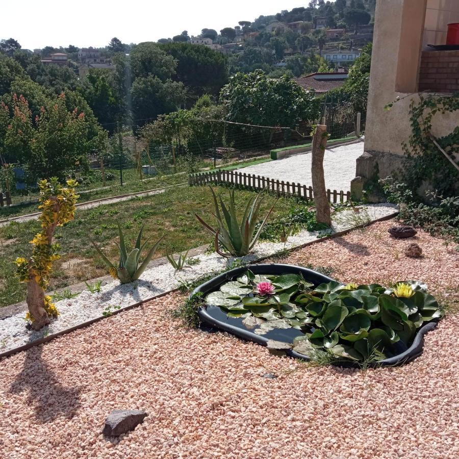 Villa Blanca 10 Minutos De La Playa Costa Brava Massanet De La Selva Εξωτερικό φωτογραφία