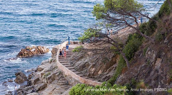 Villa Blanca 10 Minutos De La Playa Costa Brava Massanet De La Selva Εξωτερικό φωτογραφία